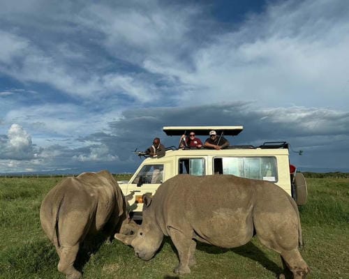 gallery-the-out-of-africa-experience (1)