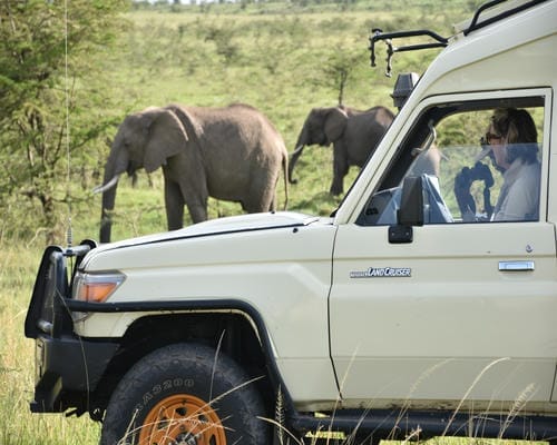Kenya safari experience for first-time visitors with The Out Of Africa Experience, on a wildlife game drive in the Maasai Mara: What to expect for first time visitor in Maasai Mara