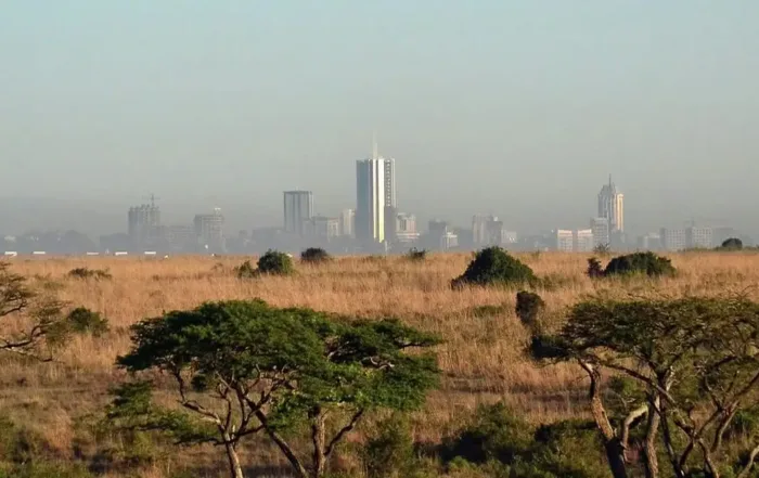 Half Day Nairobi Excursion Safari Tour