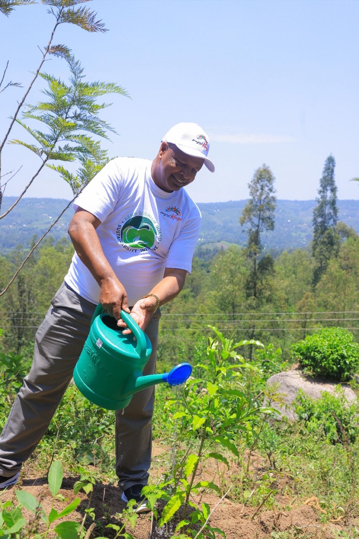 Kajulu Forest: The New Eco-Tourism Gem in Kenya