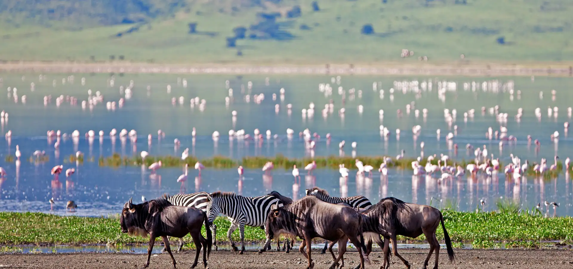Ngorongoro Crater