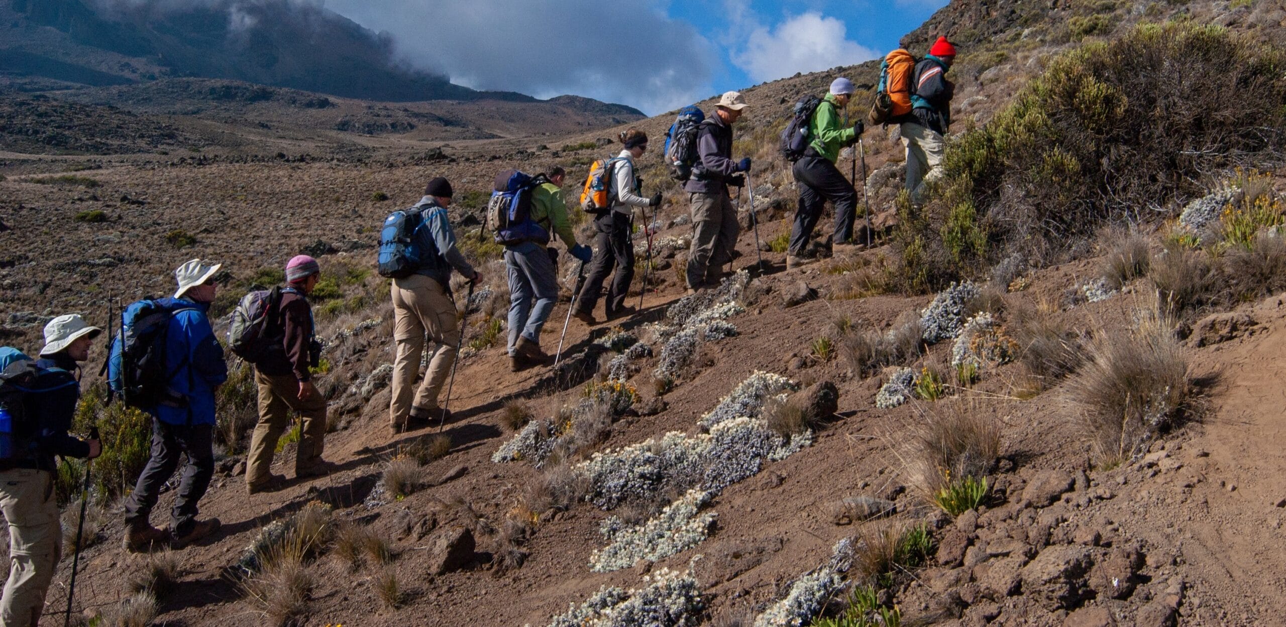 Special Interest Tours