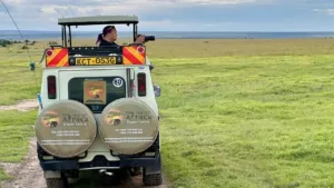 Kenya vs Tanzania safari comparison with wildlife and scenic landscapes
