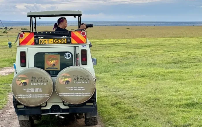 Kenya vs Tanzania safari comparison with wildlife and scenic landscapes
