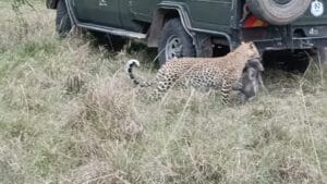 Woman Holding Cup Standing in the Kitchen