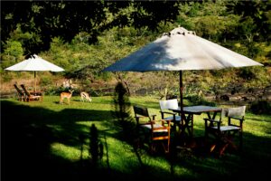 Kenya Safari for First-Time Visitors with The Out Of Africa Experience safari vehicle exploring the Maasai Mara