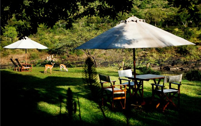 Kenya Safari for First-Time Visitors with The Out Of Africa Experience safari vehicle exploring the Maasai Mara