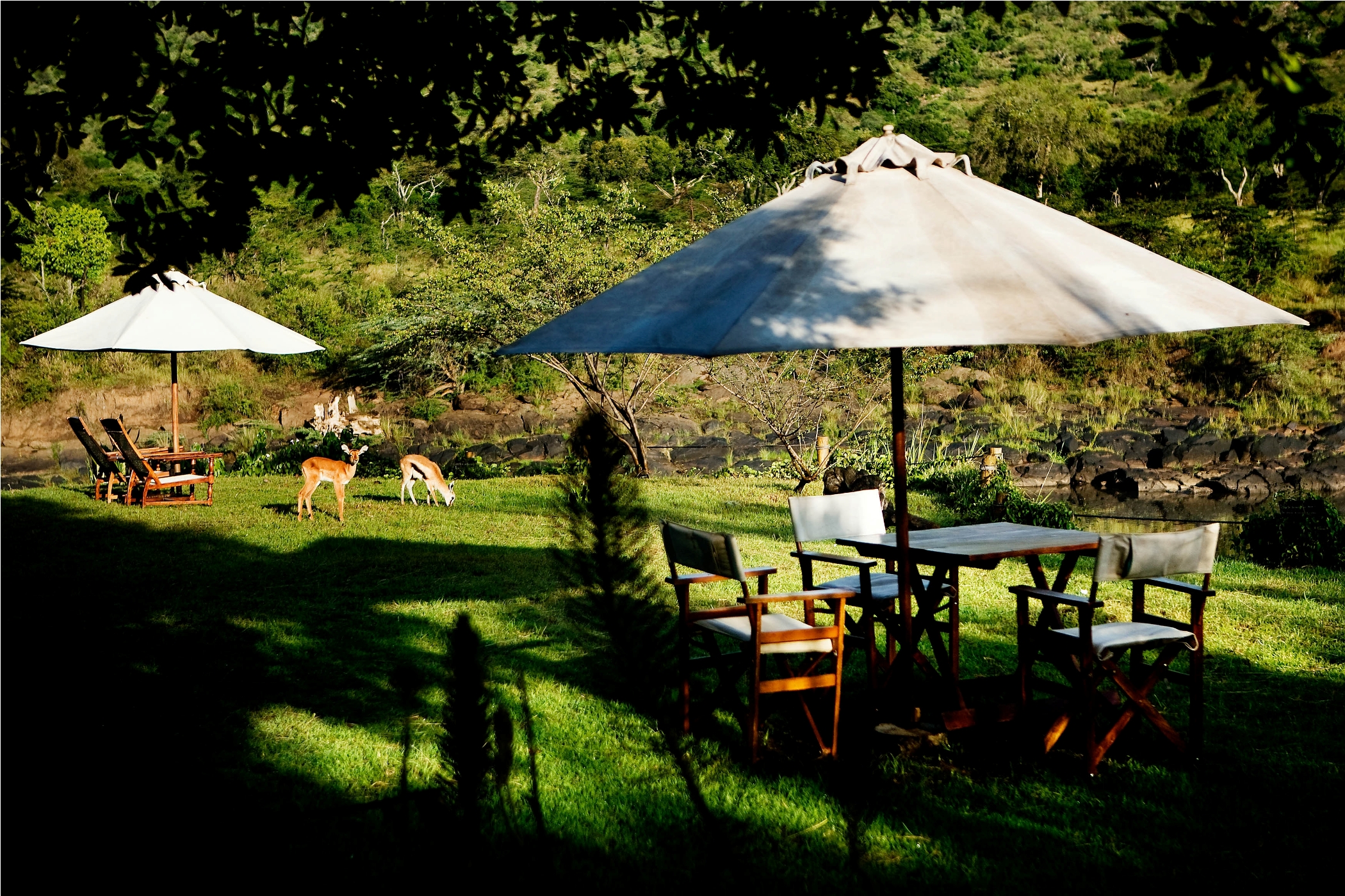 Kenya Safari for First-Time Visitors with The Out Of Africa Experience safari vehicle exploring the Maasai Mara